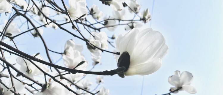 대표사진