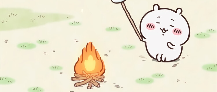 대표사진
