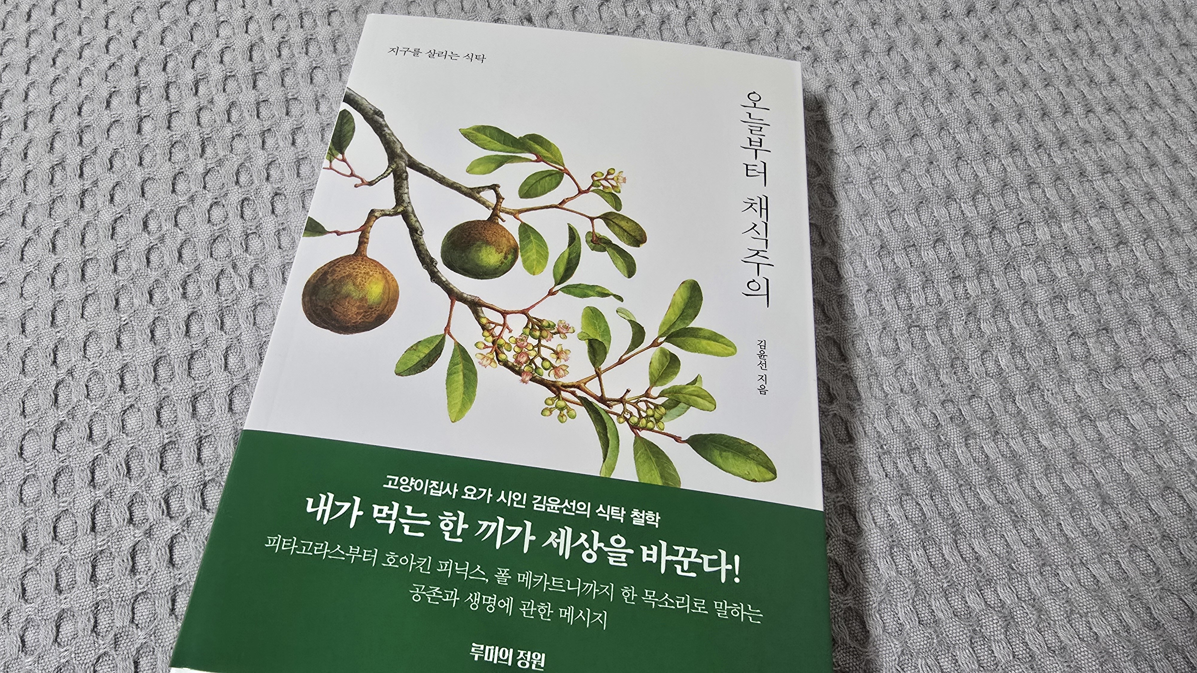 첨부된 사진