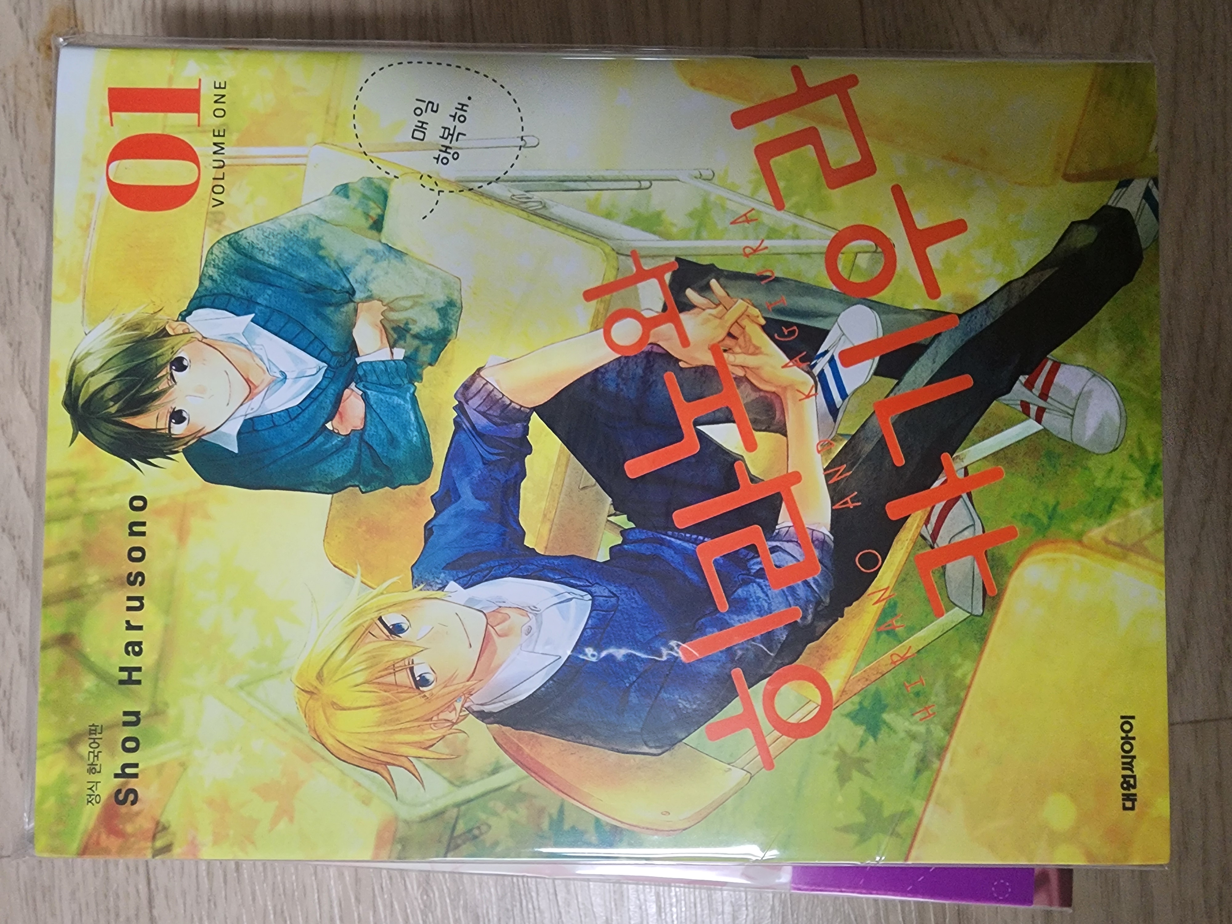 히라노와 카기우라 1 일반판 | 하루소노 쇼 | 대원 - 예스24