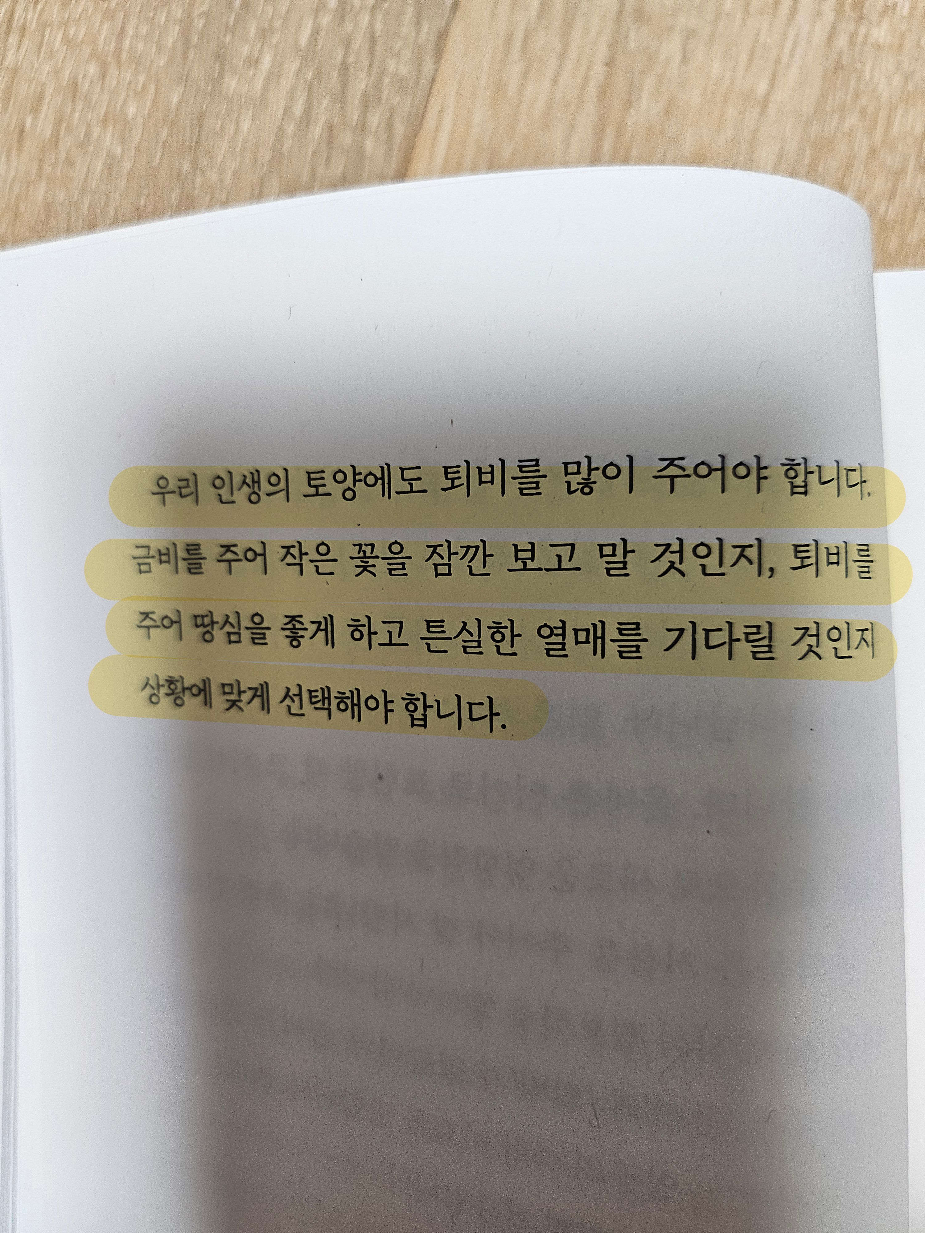 컨텐츠 이미지