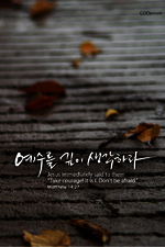 대표사진