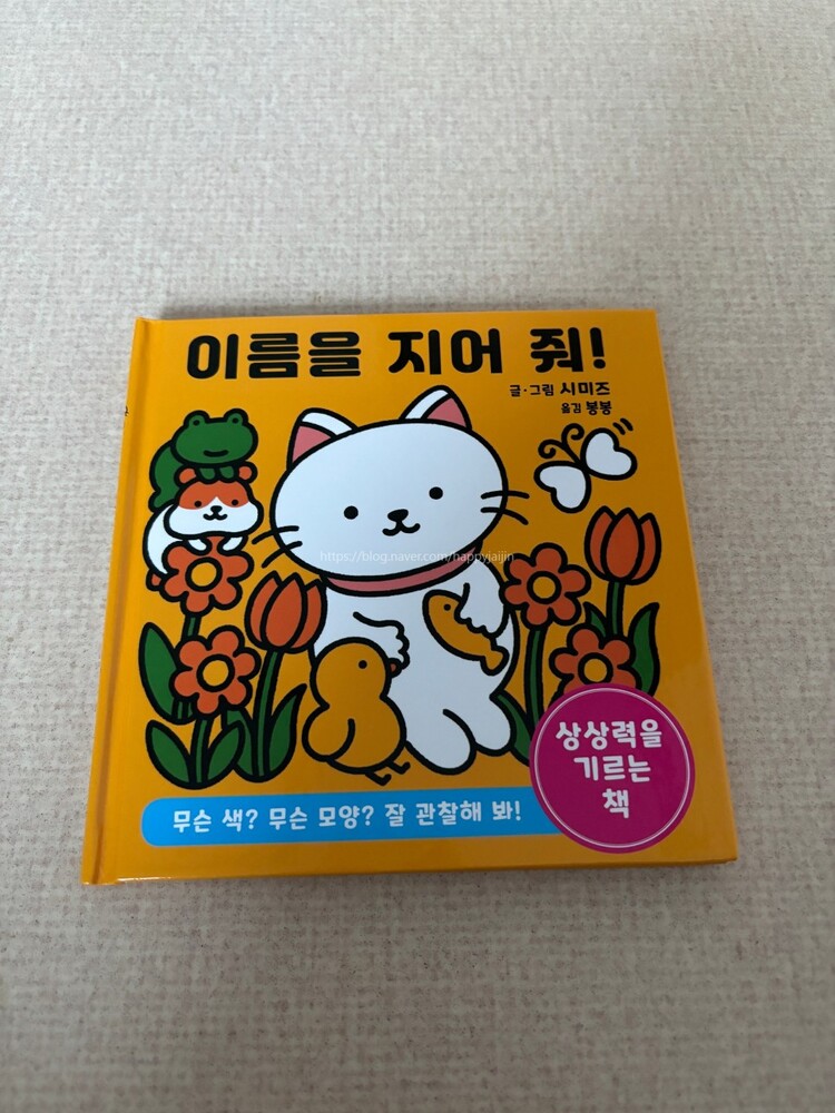 컨텐츠 이미지