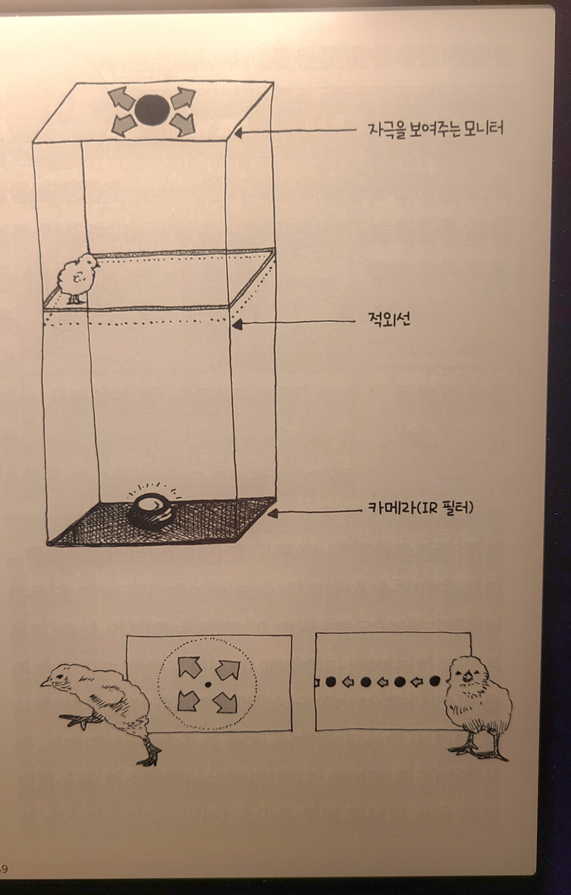 컨텐츠 이미지