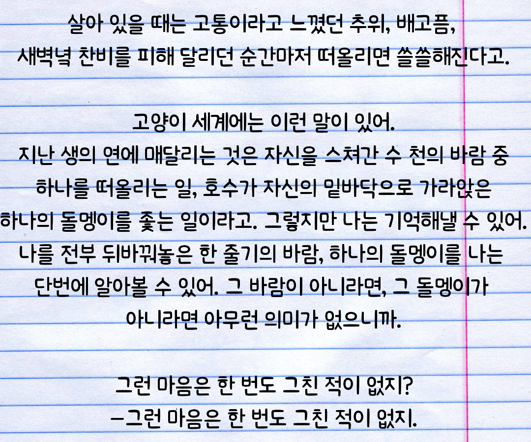 컨텐츠 이미지