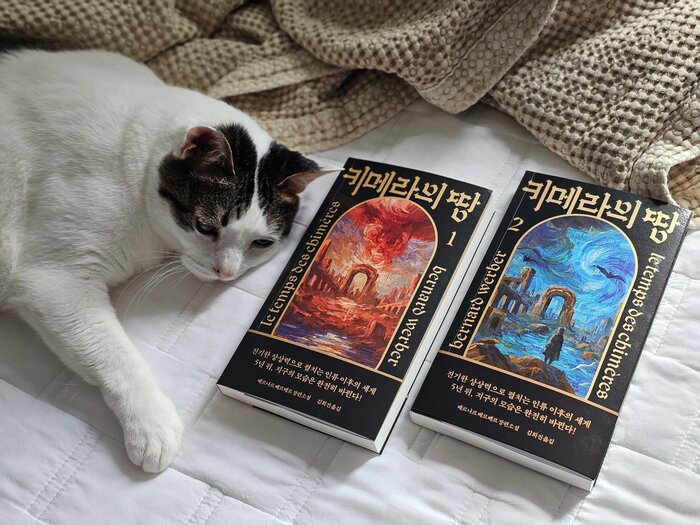 첨부된 사진