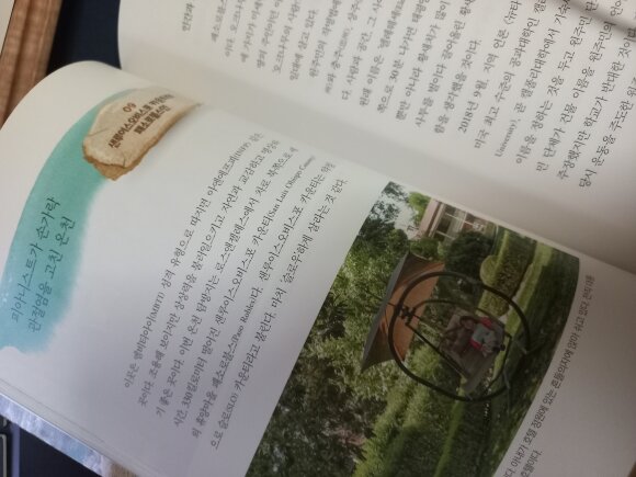 첨부된 사진