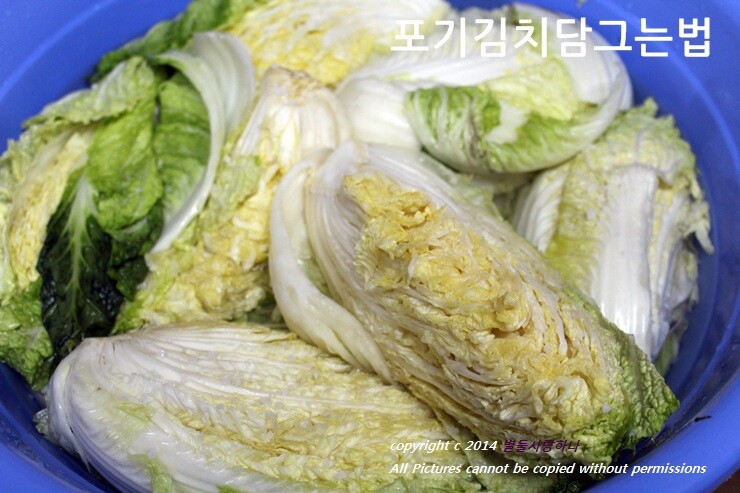 여름배추포기김치담그는법, 배추김치맛있게담는법 | YES24 블로그