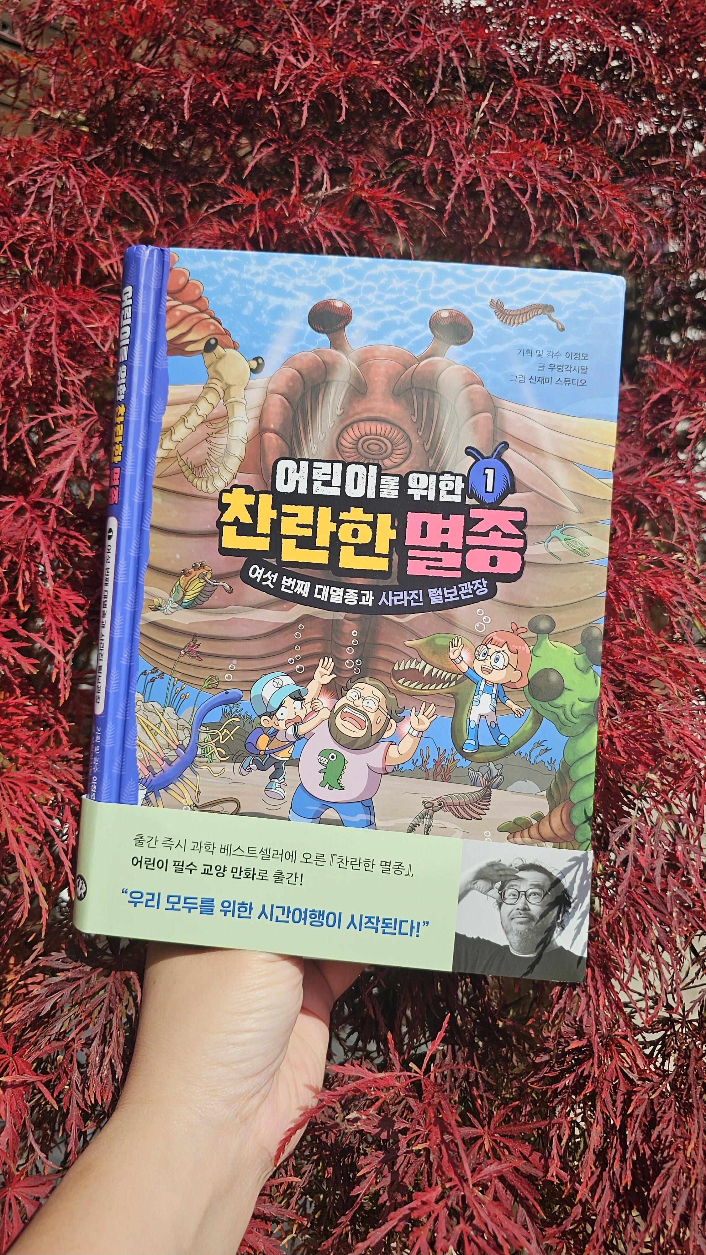첨부된 사진
