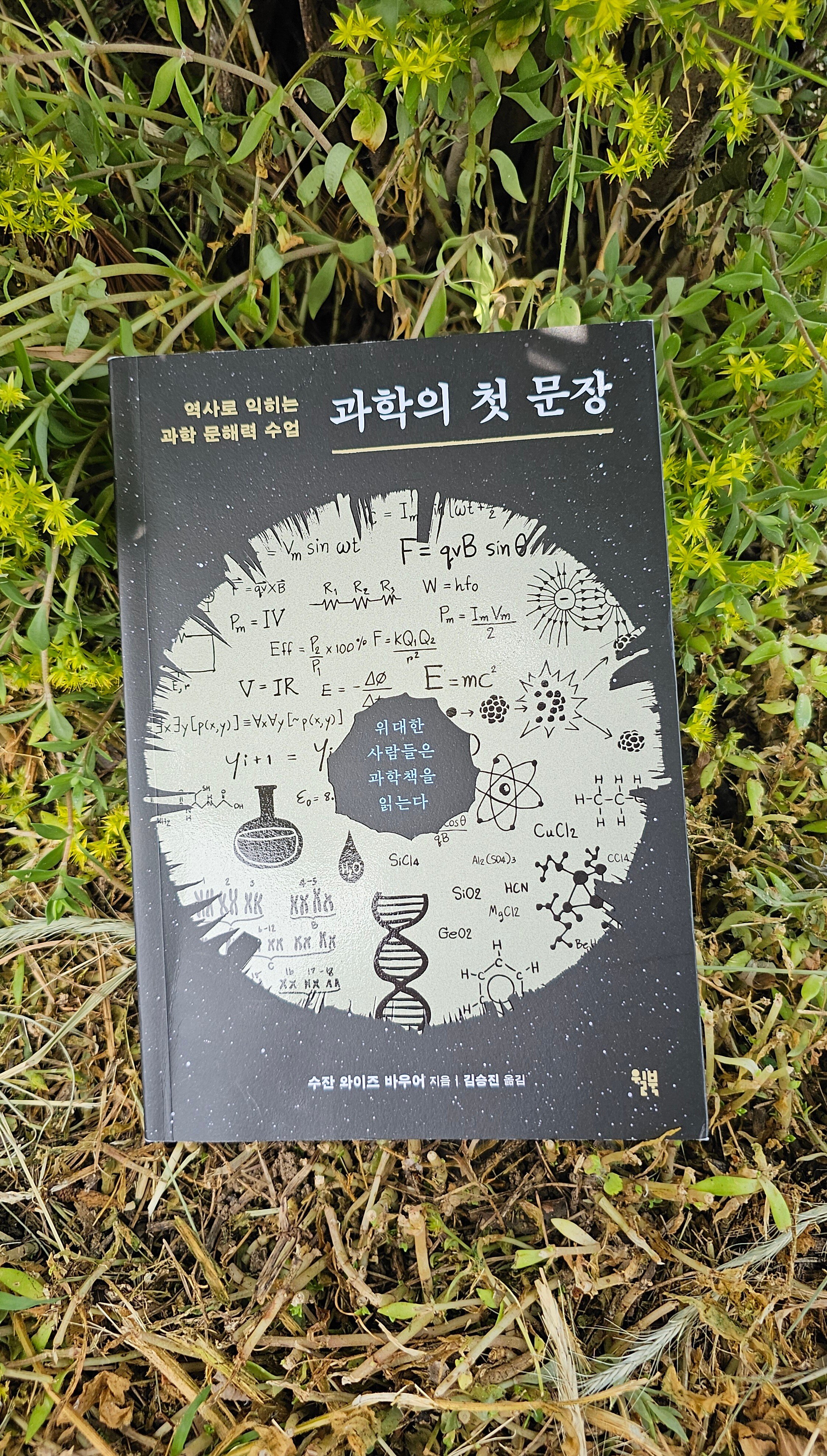 컨텐츠 이미지