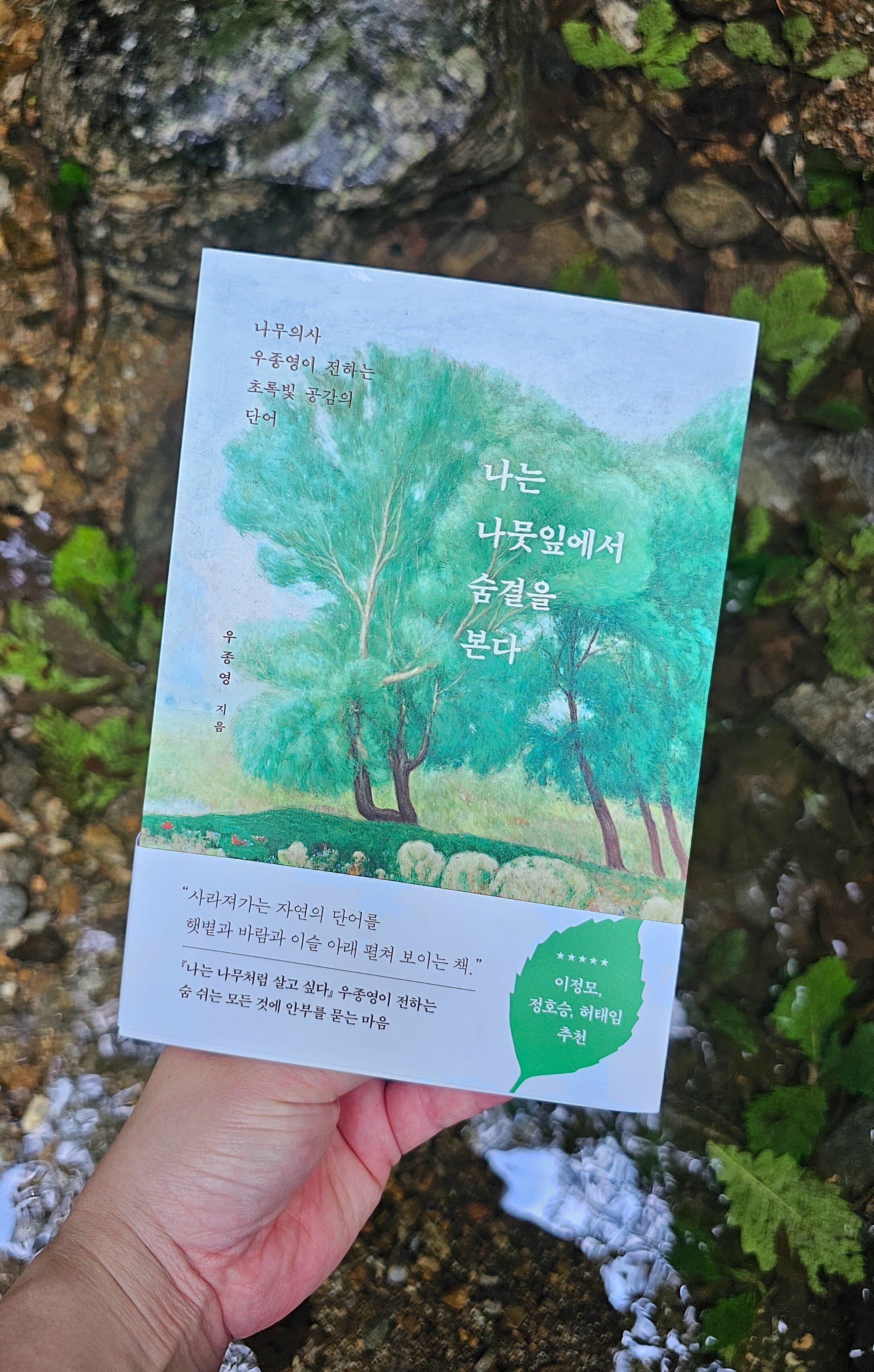 첨부된 사진