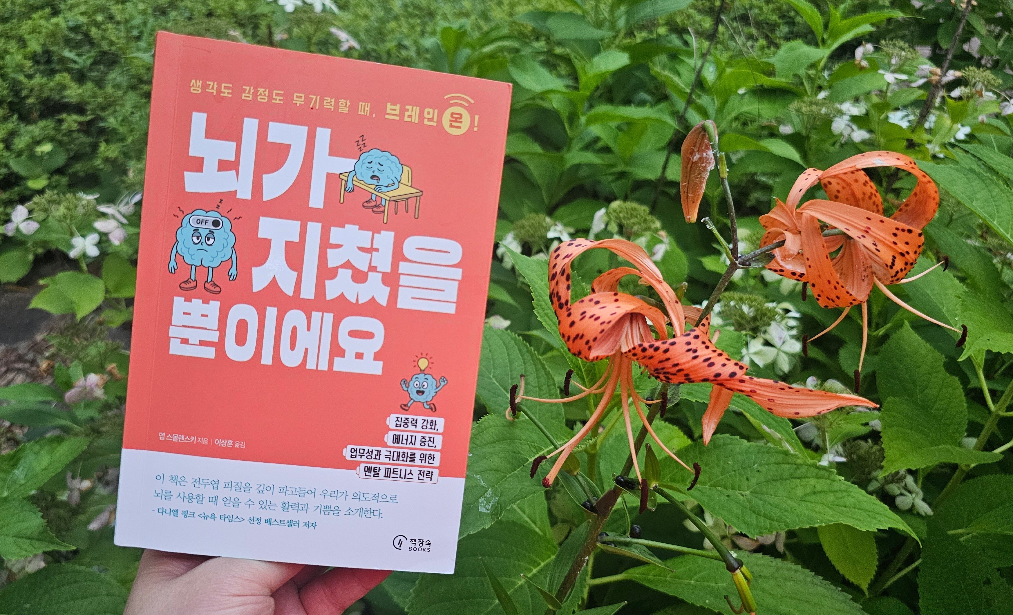 첨부된 사진