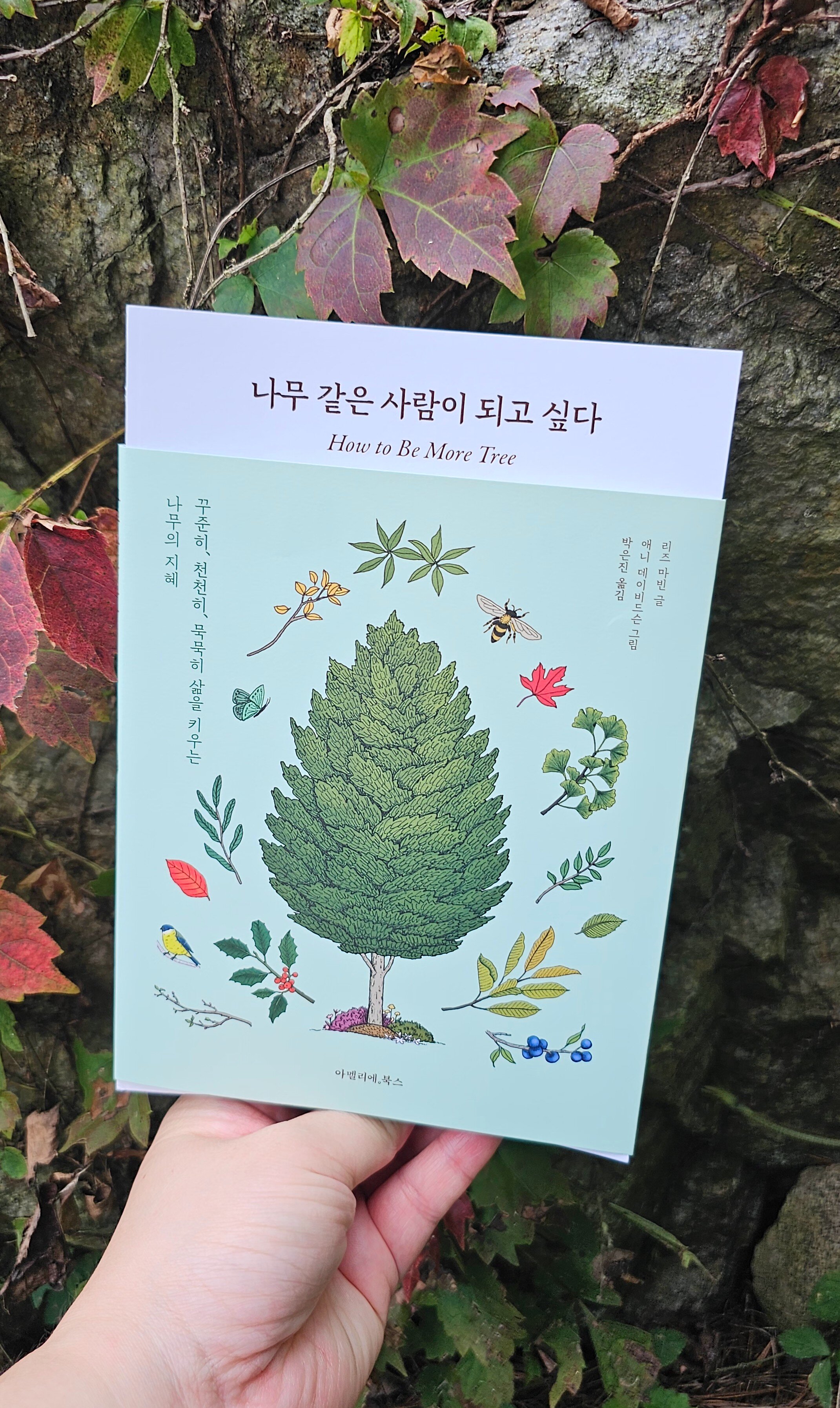 첨부된 사진