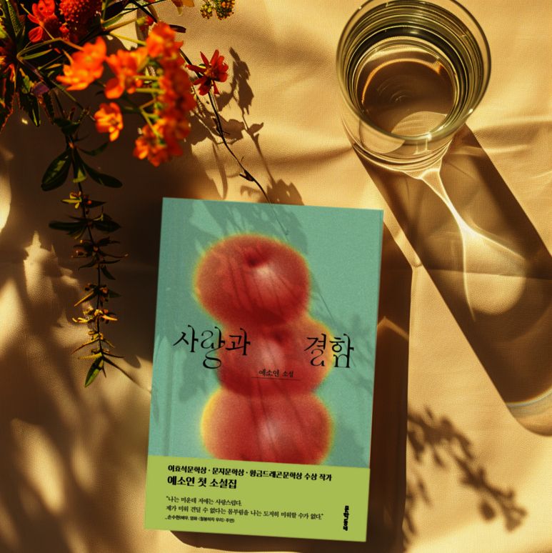 첨부된 사진