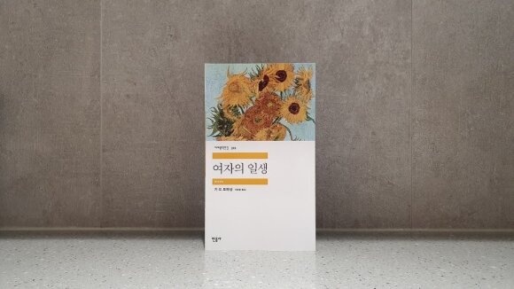 컨텐츠 이미지
