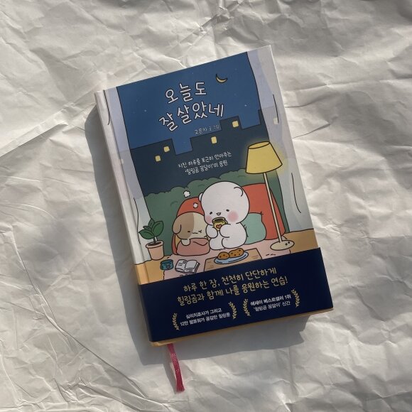 첨부된 사진