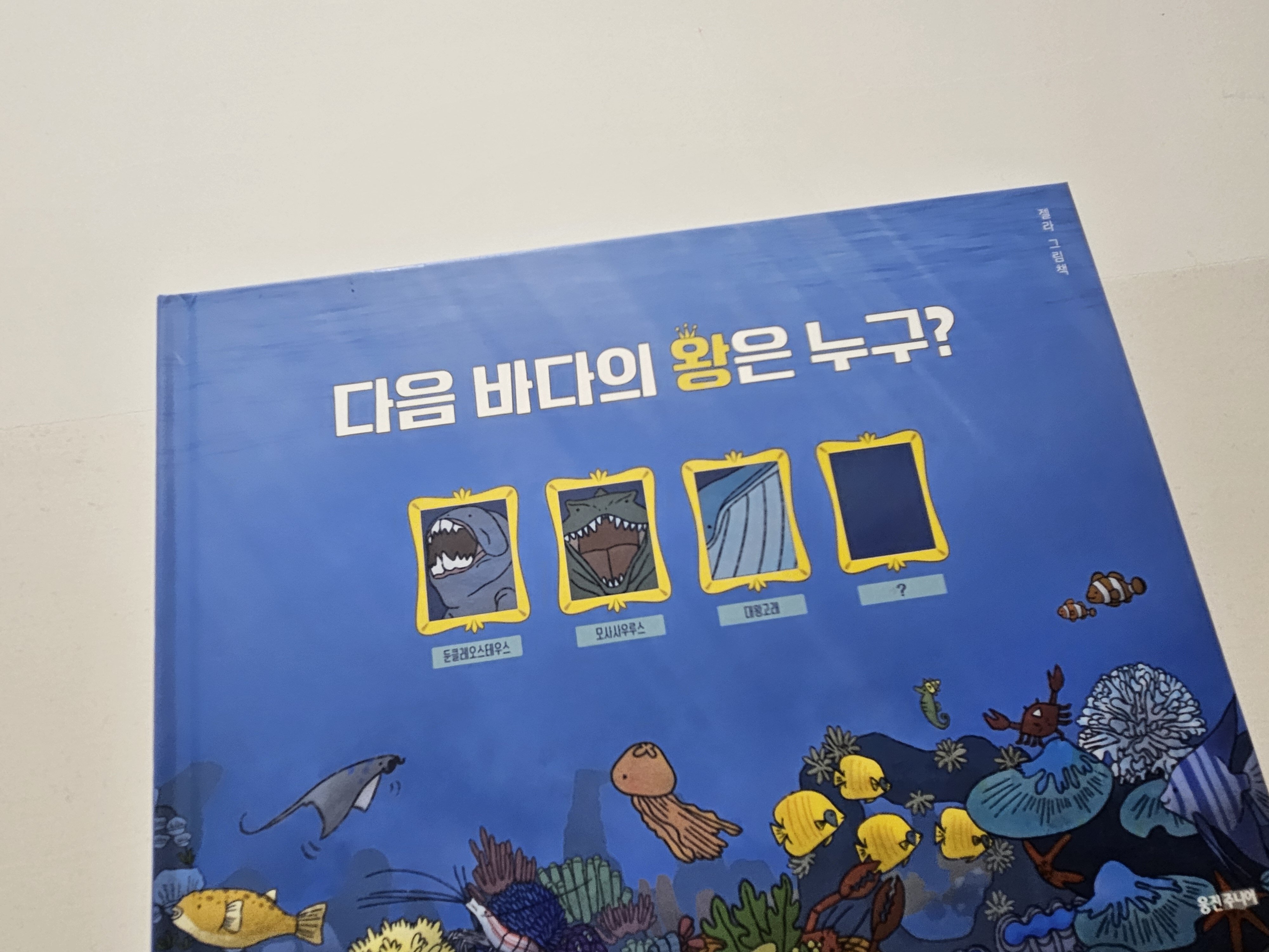 첨부된 사진