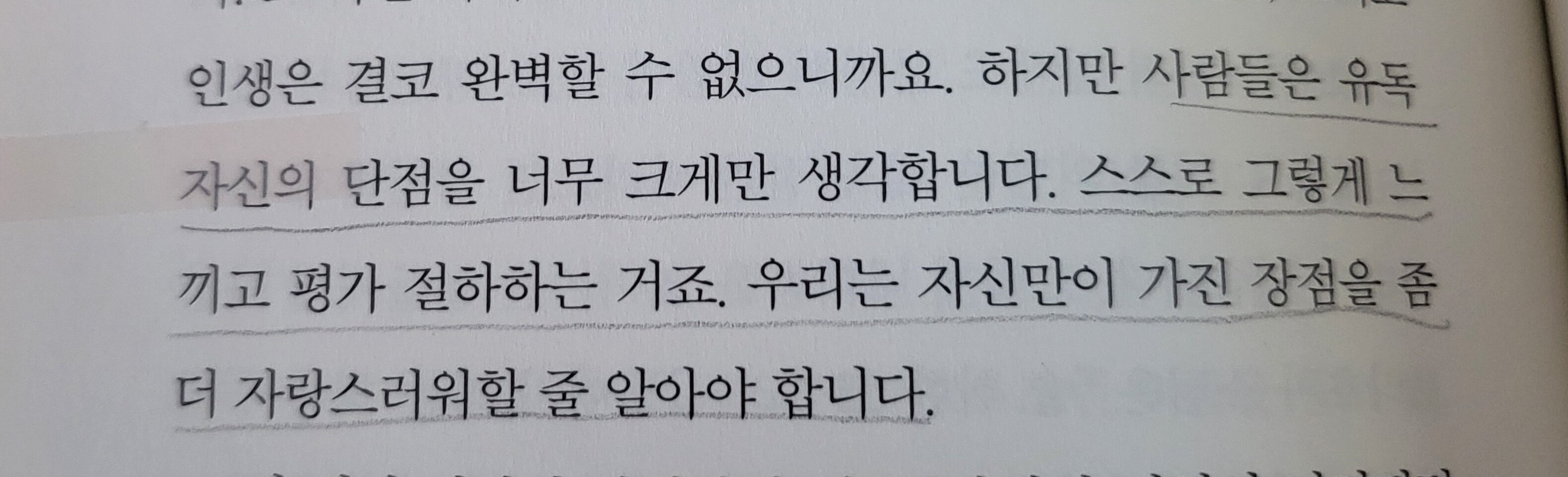 컨텐츠 이미지