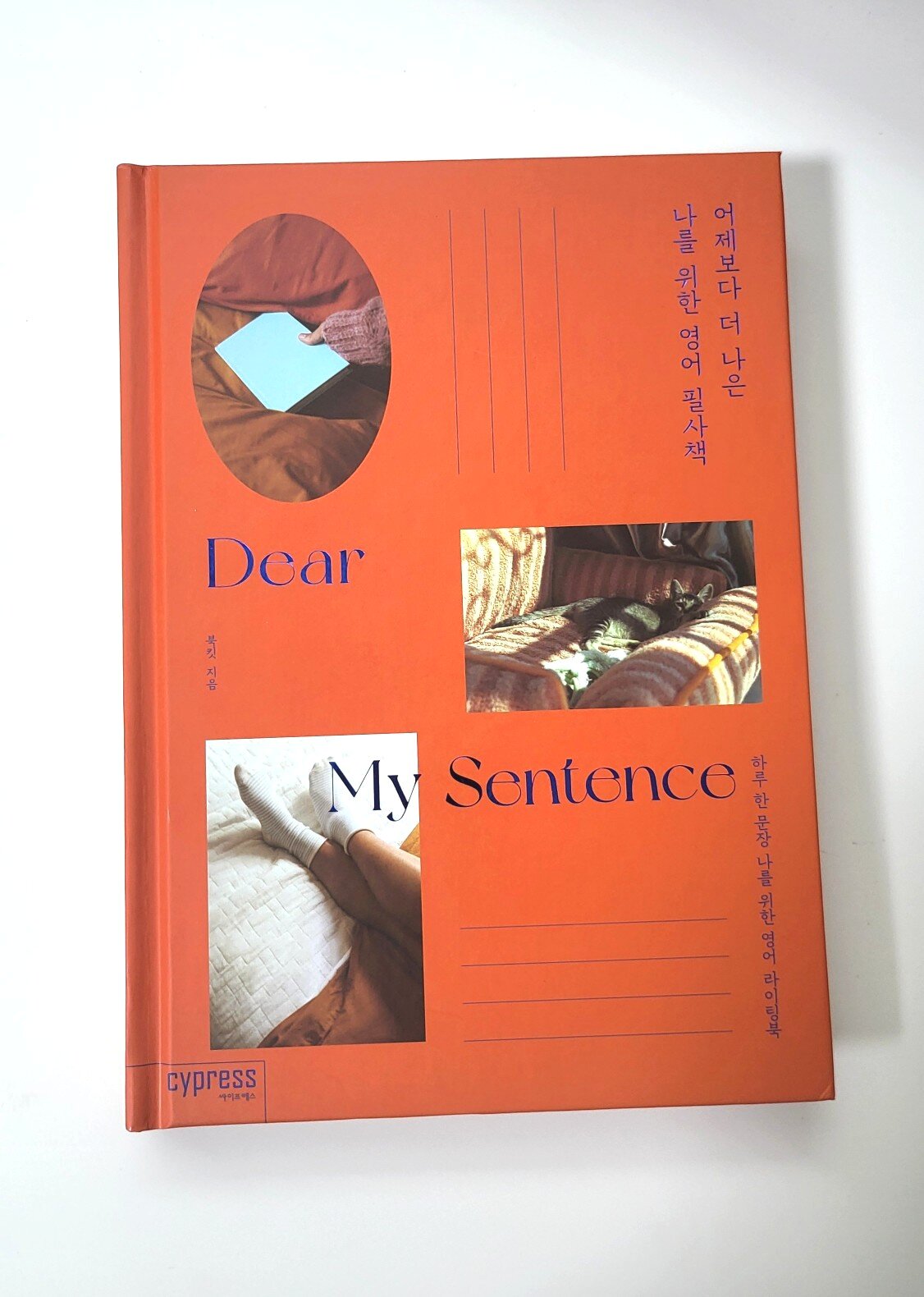 첨부된 사진