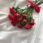 대표사진