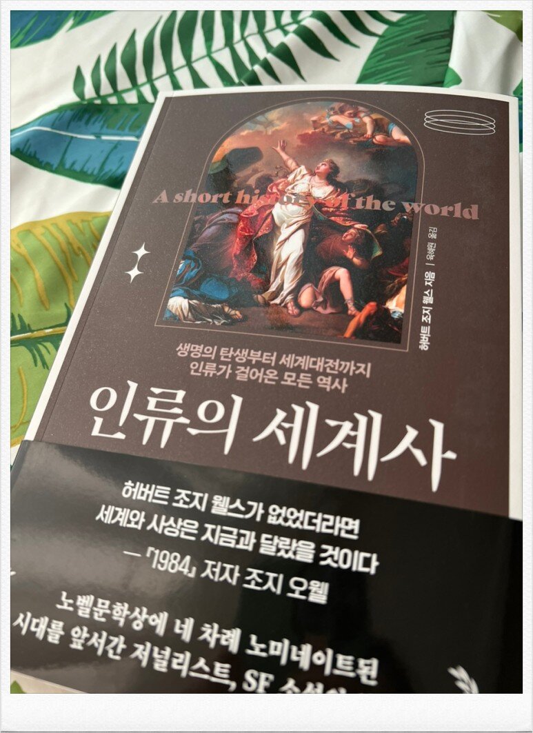 컨텐츠 이미지