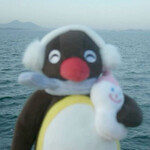 대표사진