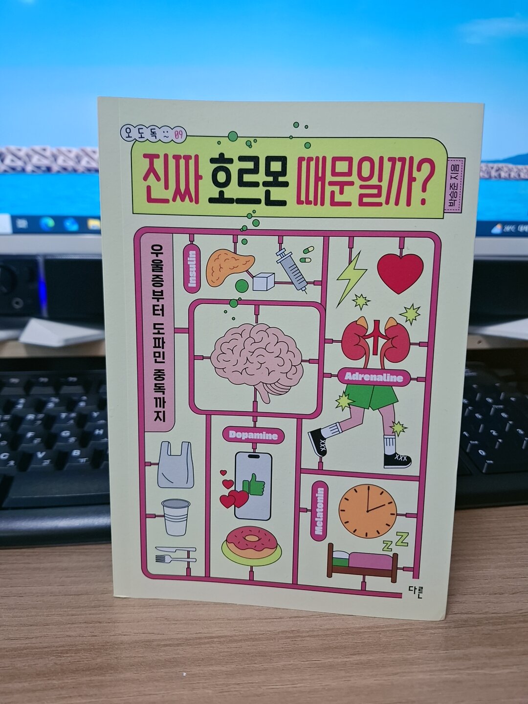 첨부된 사진