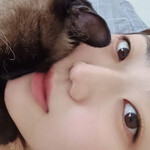 대표사진
