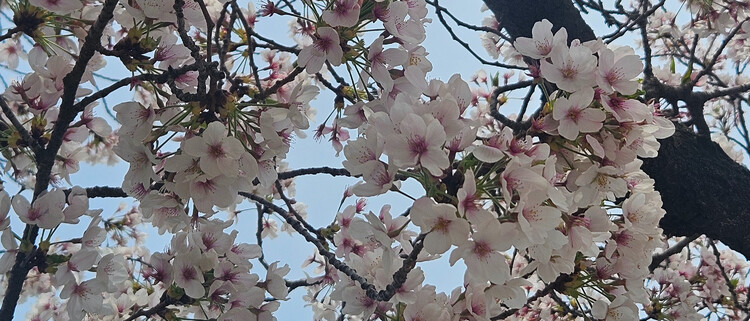 대표사진