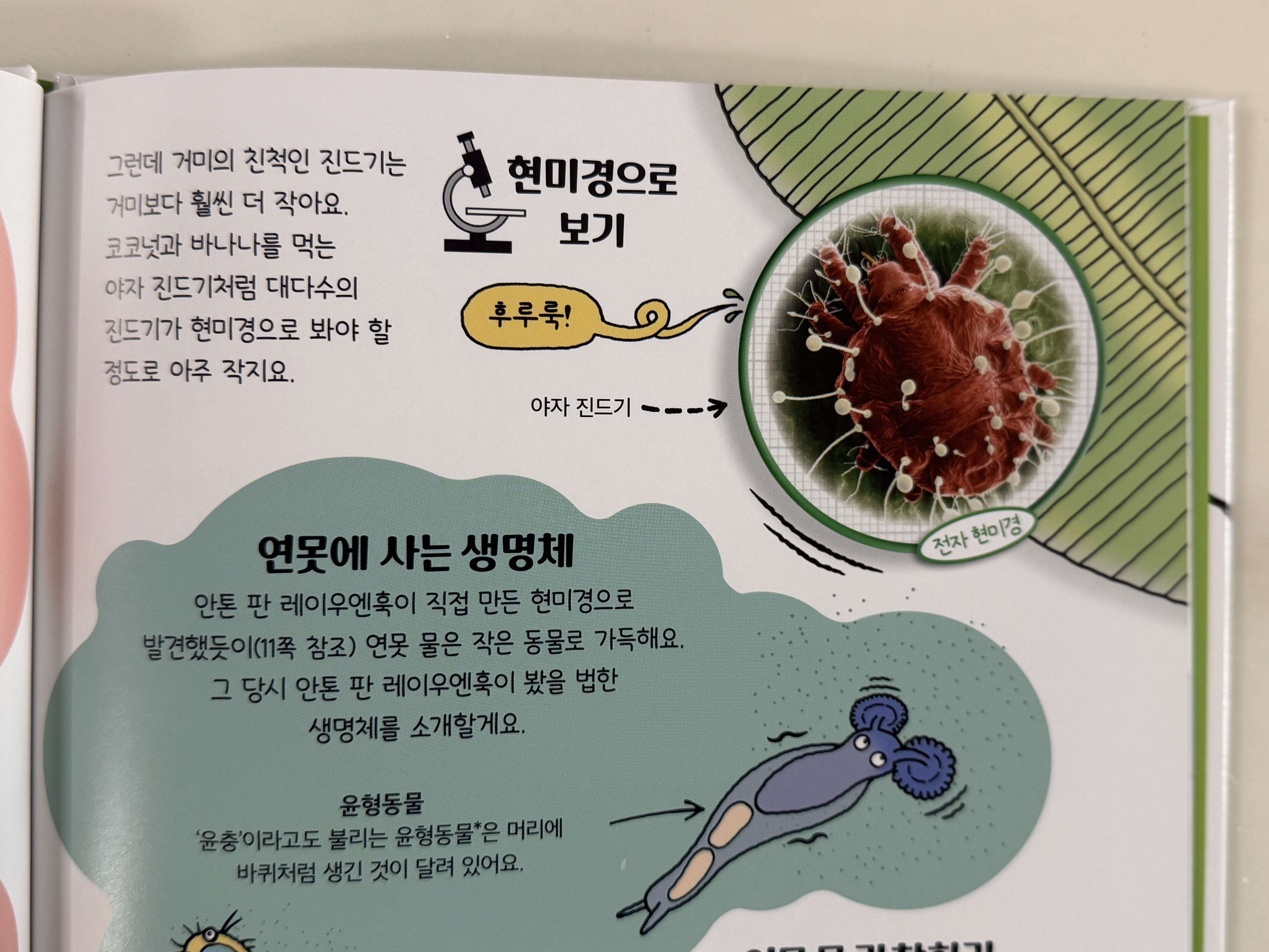 첨부된 사진