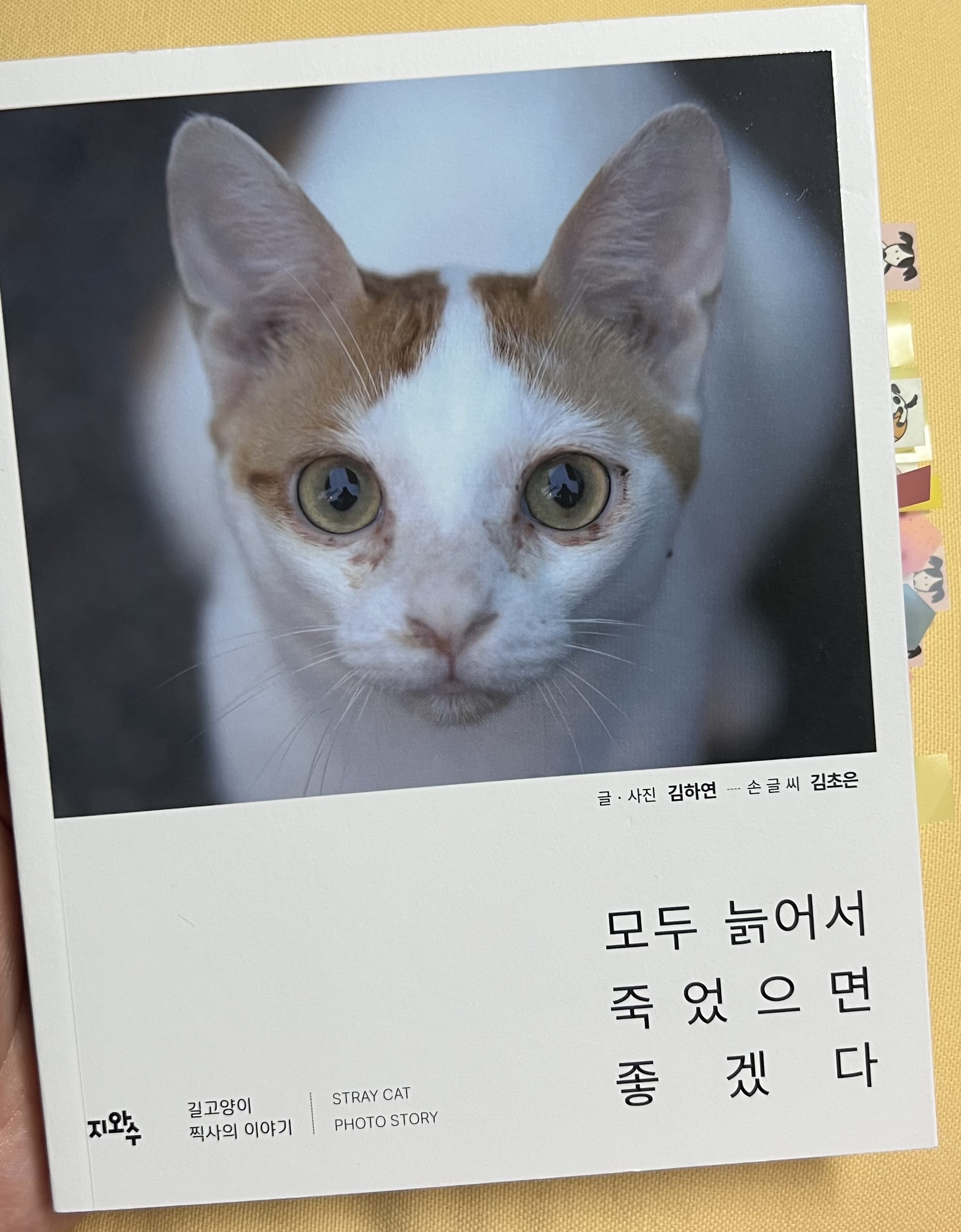 첨부된 사진