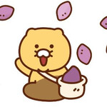 대표사진