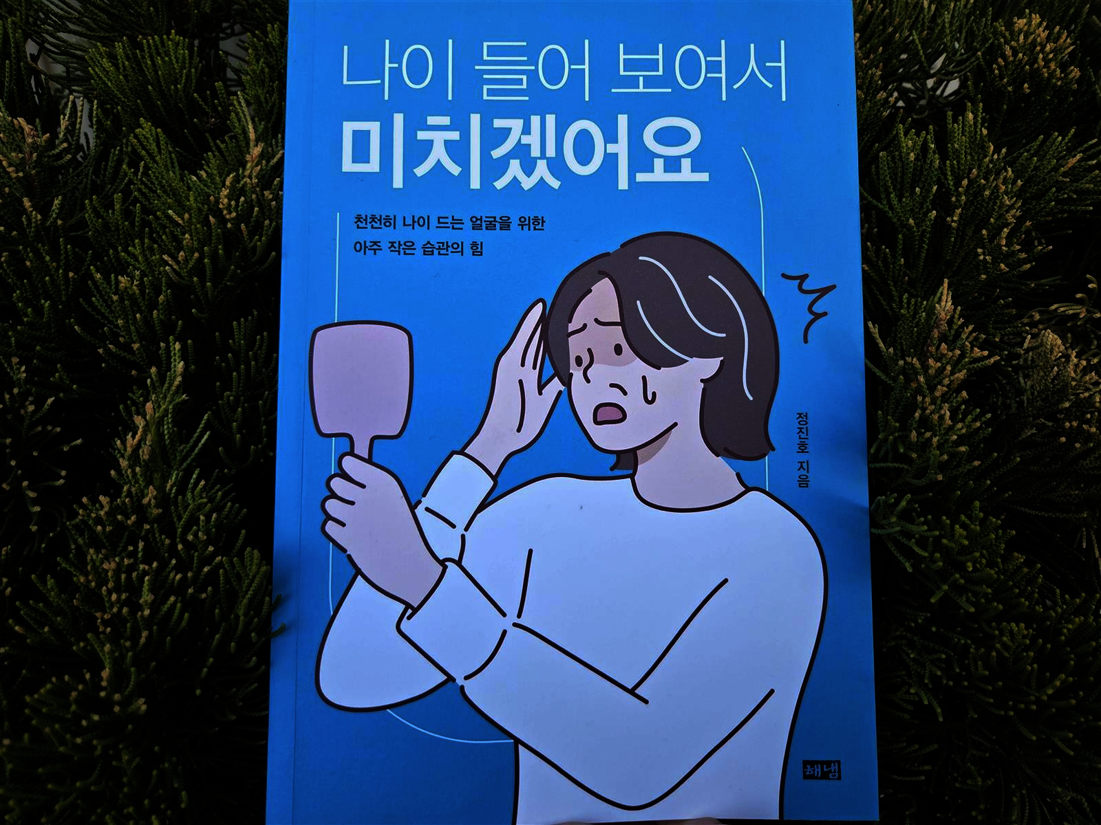 첨부된 사진