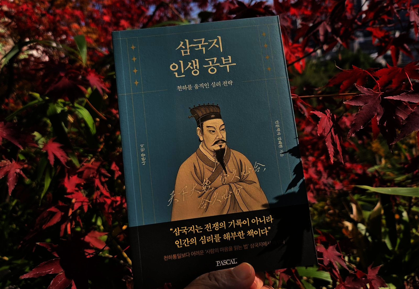 첨부된 사진