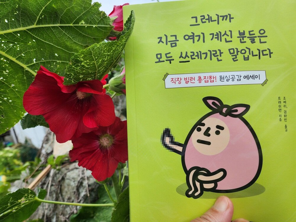 첨부된 사진