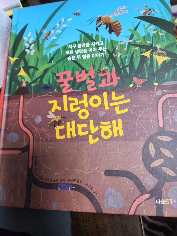 첨부된 사진