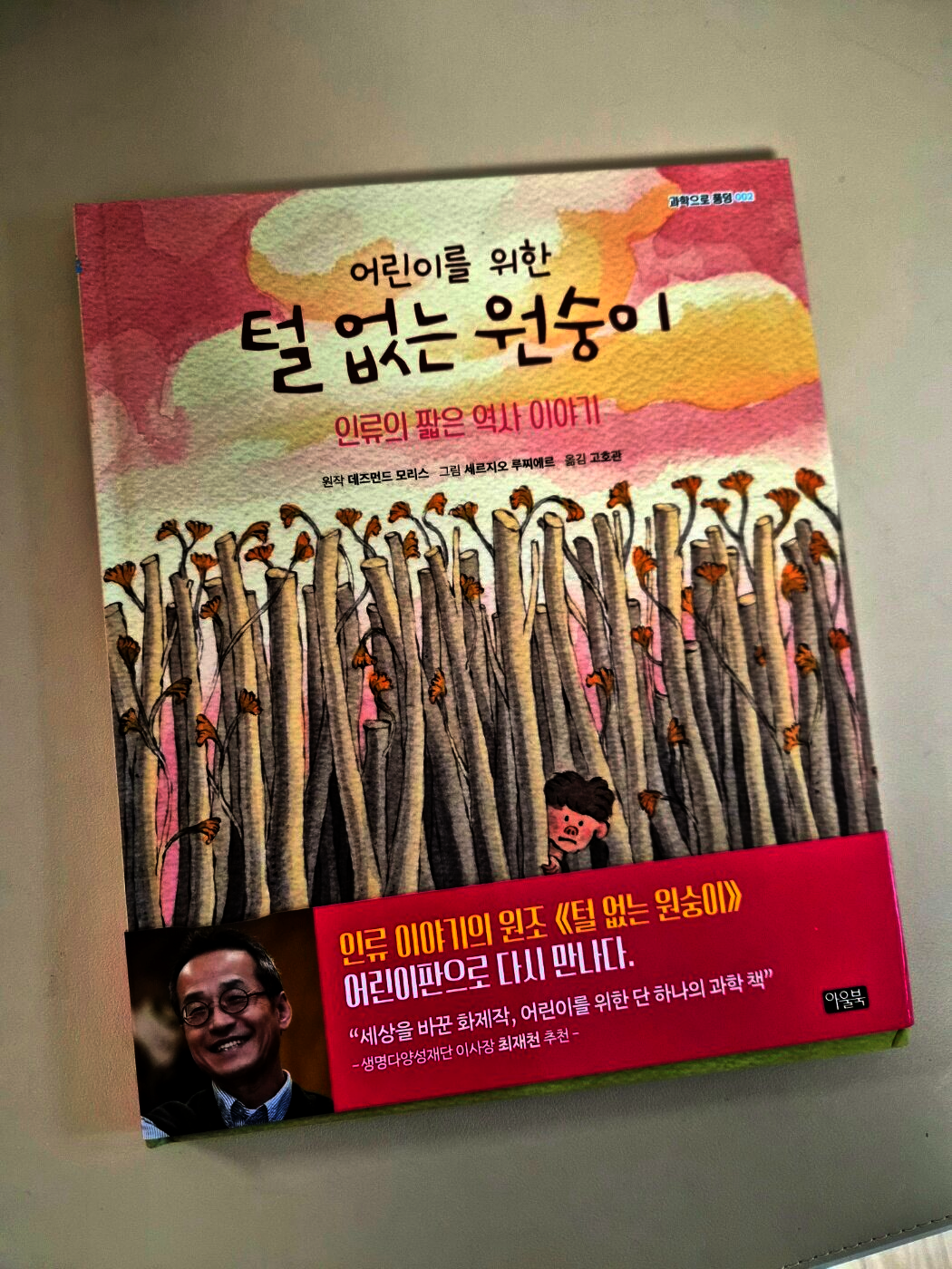 첨부된 사진