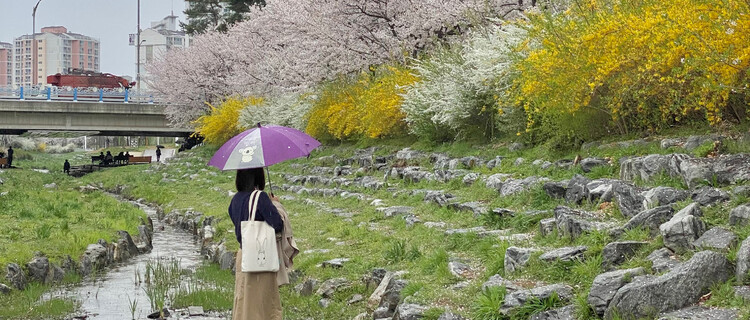 대표사진
