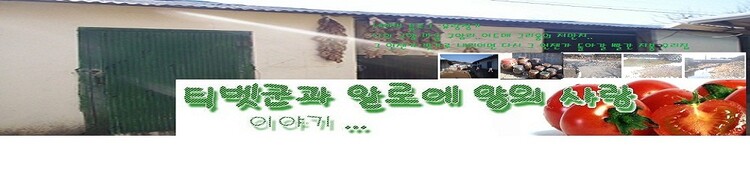 대표사진