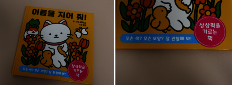 컨텐츠 이미지