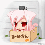 대표사진