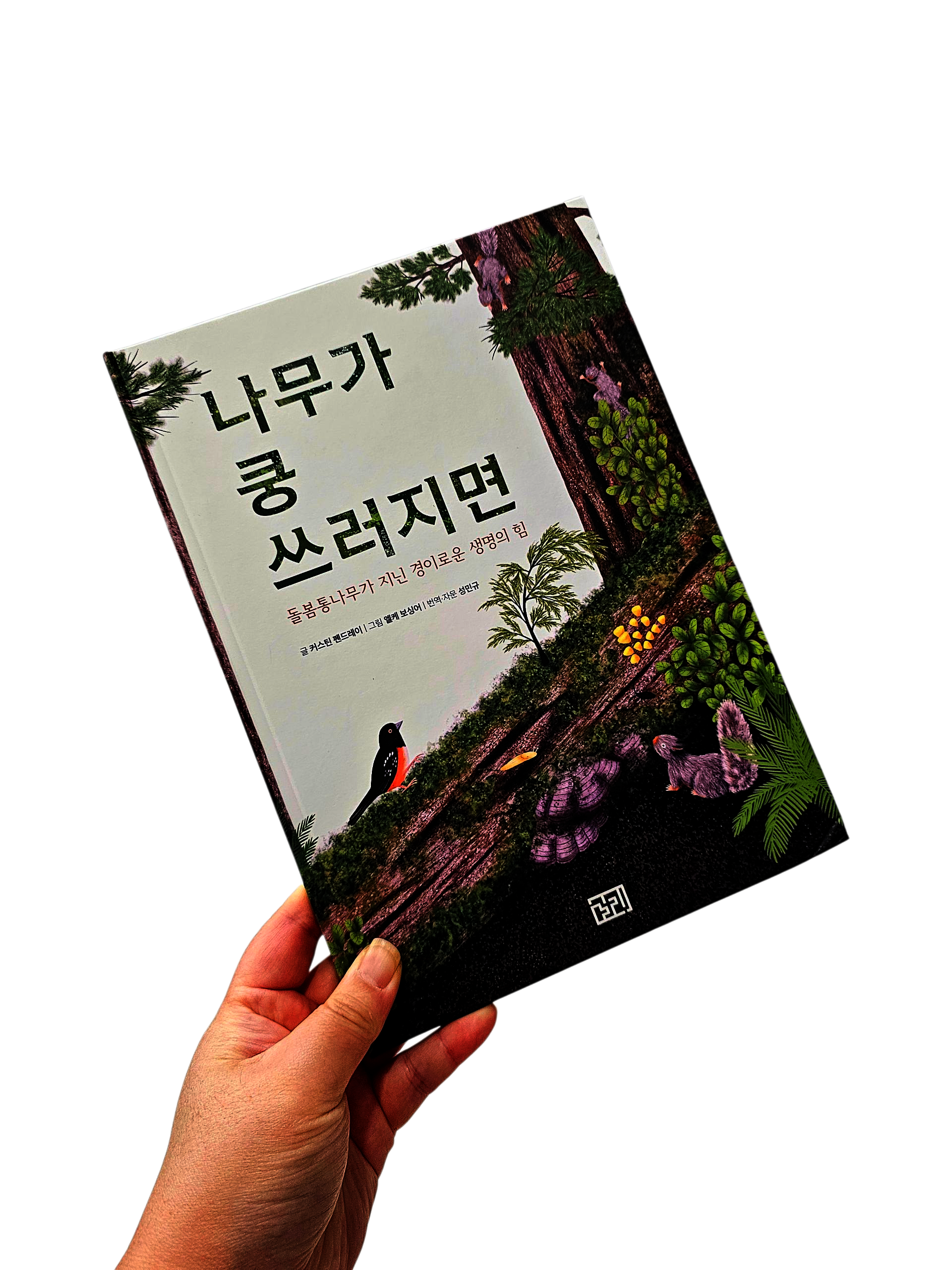 첨부된 사진