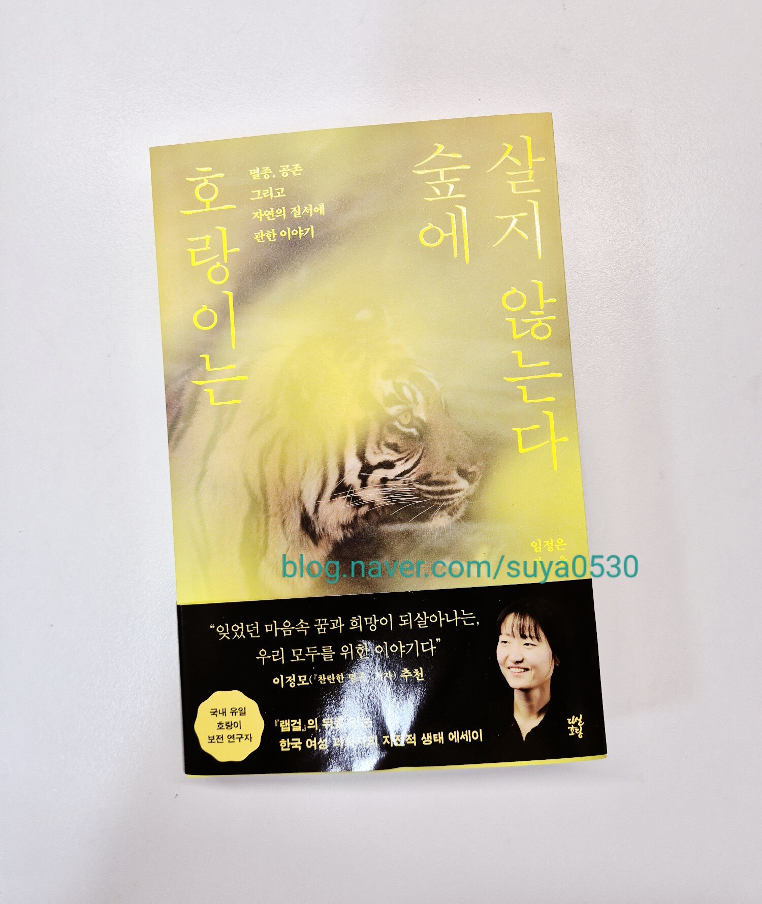 첨부된 사진