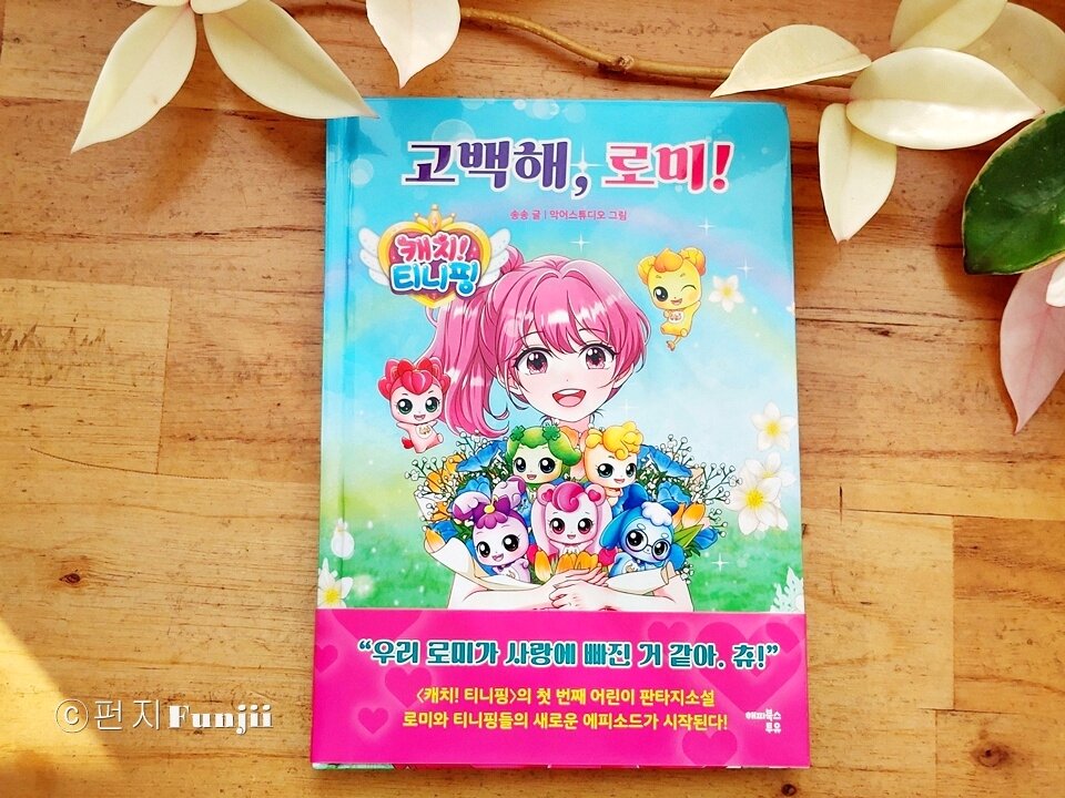 첨부된 사진