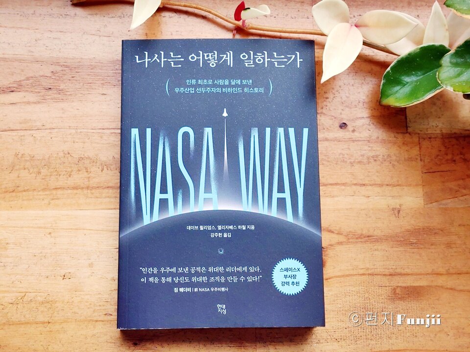 컨텐츠 이미지