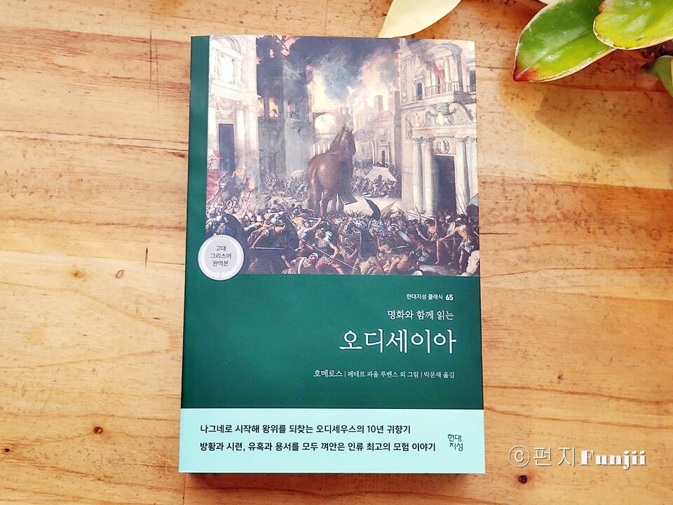 컨텐츠 이미지