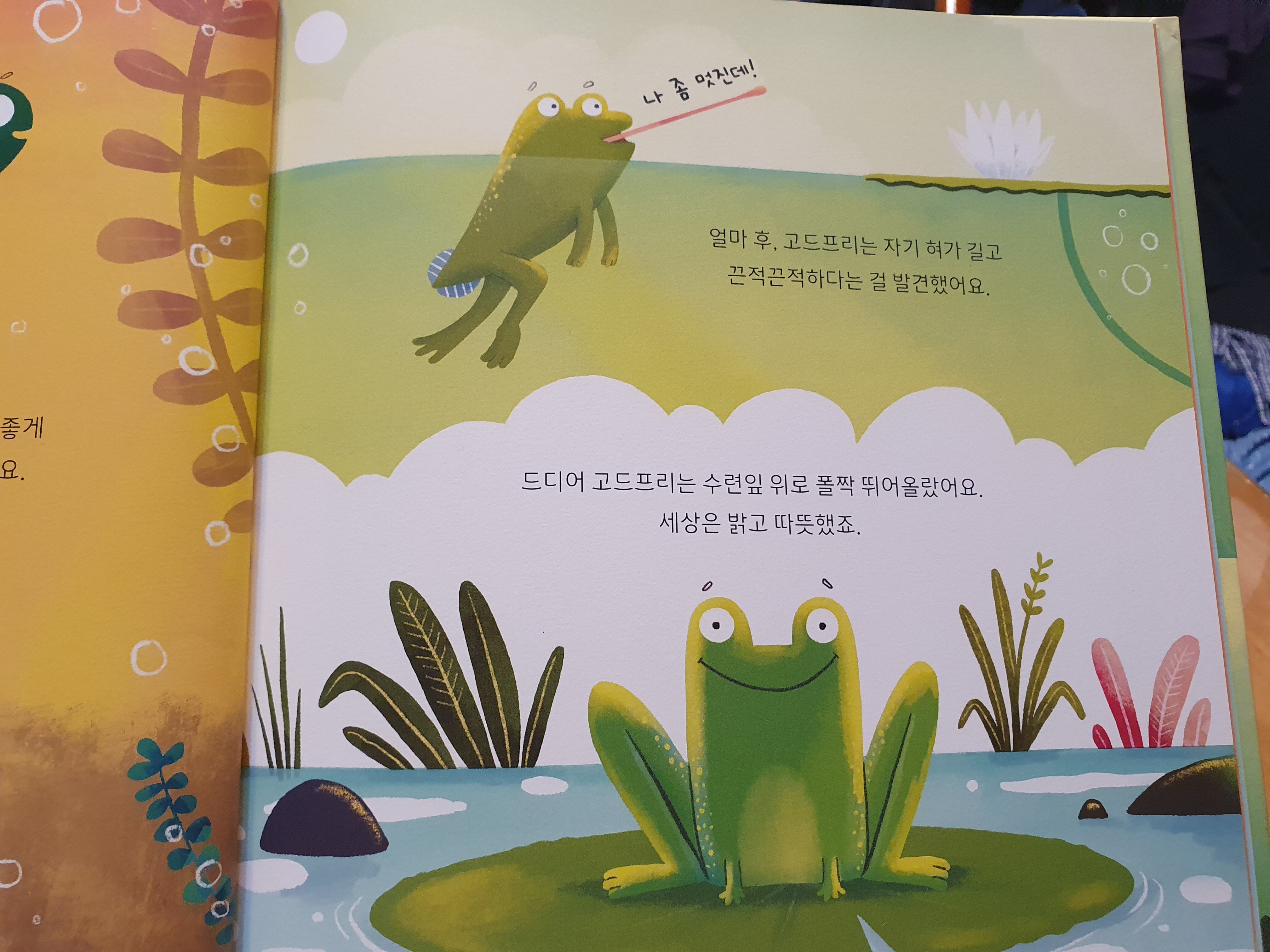 첨부된 사진