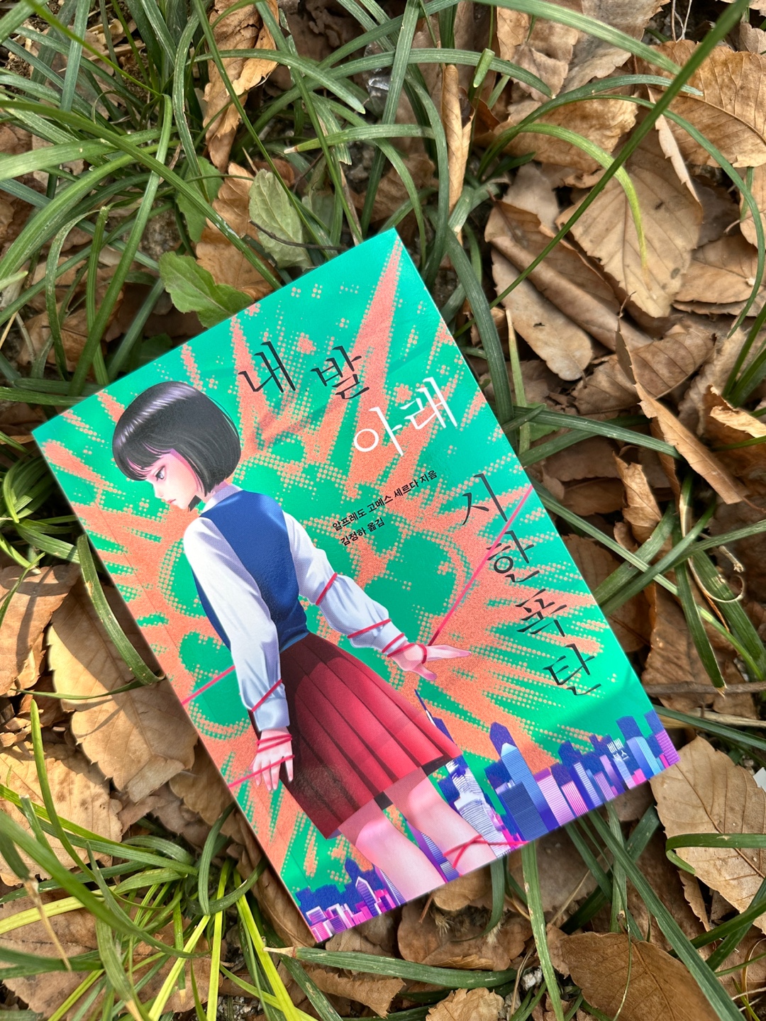 첨부된 사진