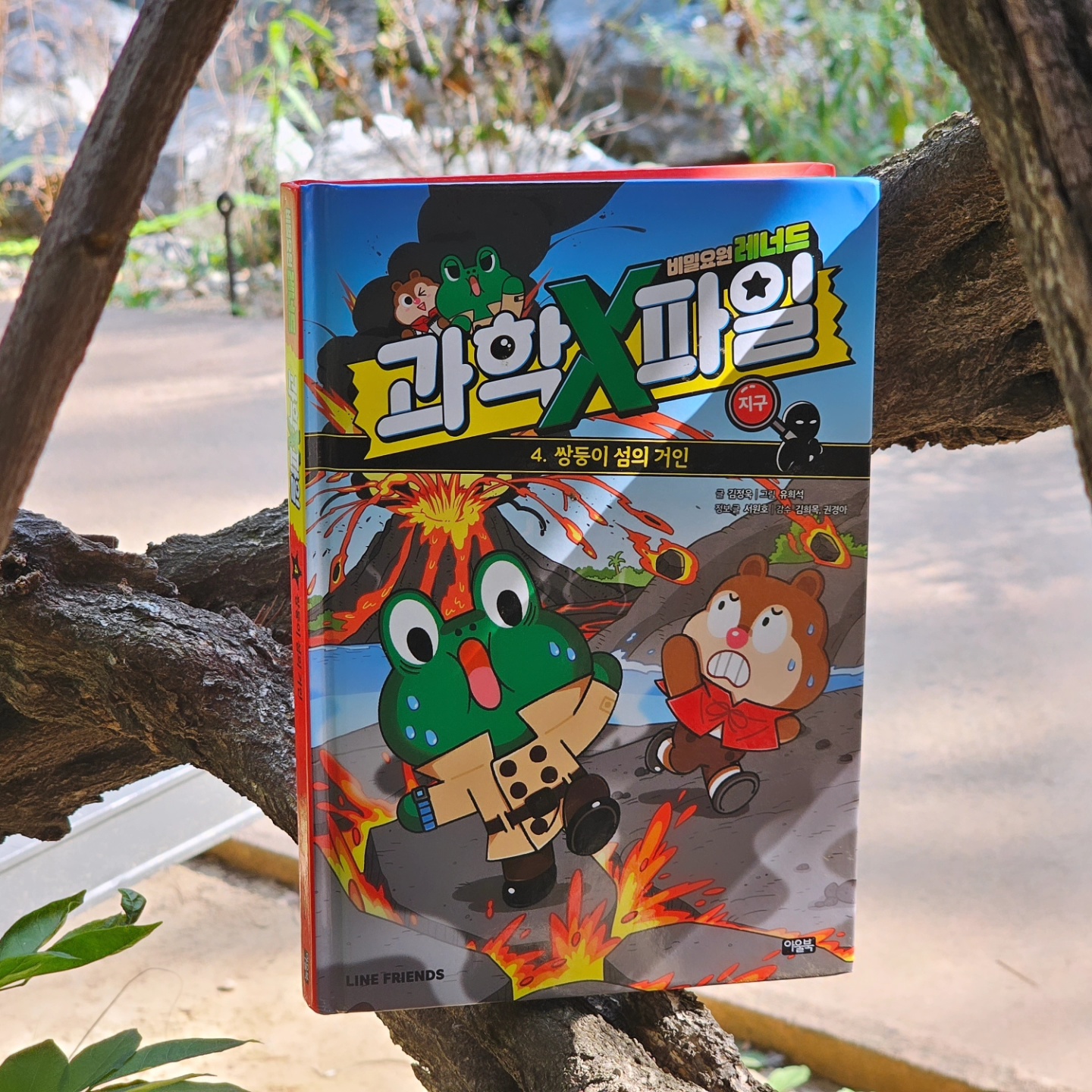 첨부된 사진