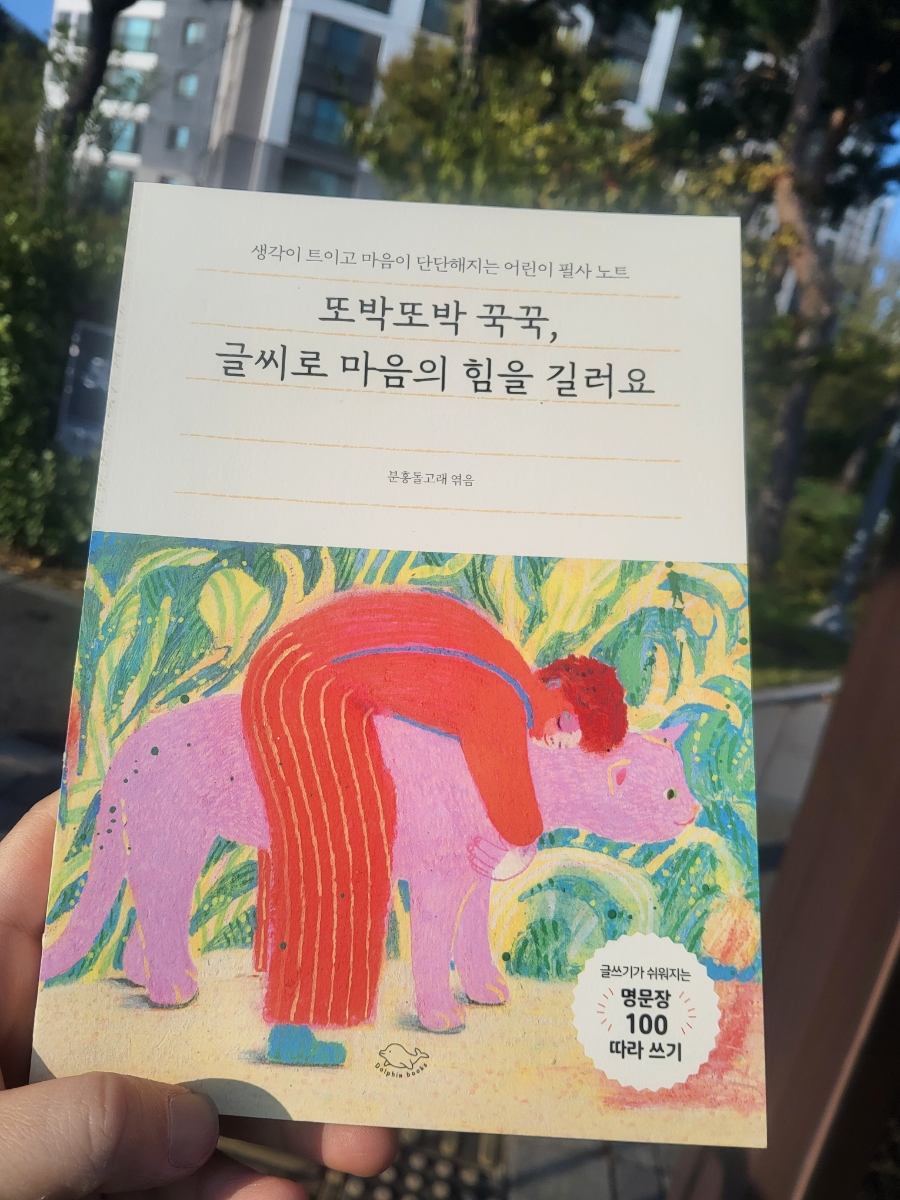 첨부된 사진